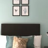 Photo 6: Room 2 @ £795