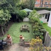 Photo 8: Garden