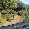 Photo 7: View from the bedroom window