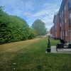 Photo 9: Garden