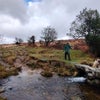 Photo 2: saw some great lichens on dartmoor that day
