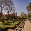 Photo 14: Holland Park