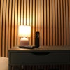 Photo 3: Boutique style room with mood lighting