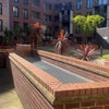 Photo 7: Garden area