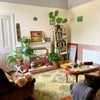 Photo 8: living room
