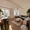 Photo 5: Shared living room - not all pictured plants are still with us