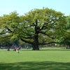 Photo 12: Bruce Castle Park 10min from the house