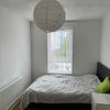 Photo 7: Room (£135/week)