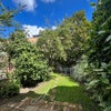 Photo 6: Garden