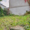 Photo 7: Garden