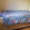 Photo 7: bedroom