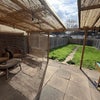 Photo 6: Garden