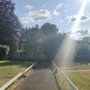 Photo 8: front view