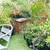 Photo 9: Garden with garden set