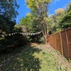 Photo 9: Garden 