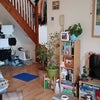 Photo 5: Living room
