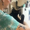 Photo 3: my cat keith (sadly didn't want to leave Wales)