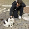 Jason\'s picture