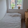Photo 5: Unfolded Bed