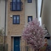Photo 4: Front