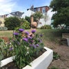 Photo 6: Garden