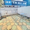 Photo 5: Sun terrace