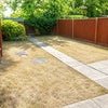 Photo 8: Communal Rear Garden