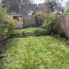 Photo 7: Garden