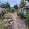 Photo 8: garden