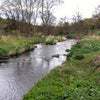 Photo 12: 20 min walk to Seven Acres Country Park
