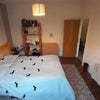 Photo 9: Bedroom 5