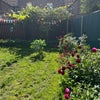 Photo 9: Garden