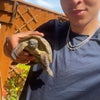 Leon\'s picture