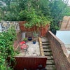 Photo 3: Garden