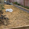 Photo 7: Rear huge garden.