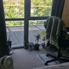 Photo 8: Natural light