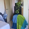 Photo 7: View across the room