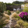 Photo 9: Garden
