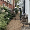 Photo 9: Flowered side passage 
