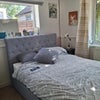Photo 7: bedroom