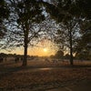 Photo 7: Clapham Common