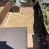 Photo 5: garden