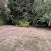 Photo 3: Large garden 