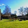 Photo 7: Garden