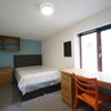 Photo 4: Bedroom 2 Available 