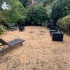 Photo 8: Garden