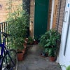 Photo 6: Front balcony garden