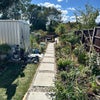Photo 8: Garden 