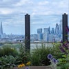 Photo 9: roof terrace