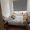 Photo 7: Cosy Double Bedroom